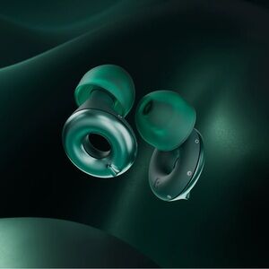 🆕 Loop Switch 2 Earplugs In Emerald Green
